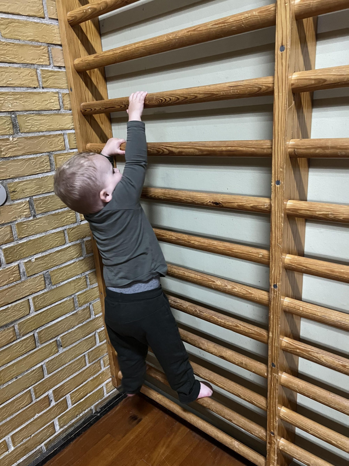 Sommergymnastik forældre/barn 1-3 år (mandag)